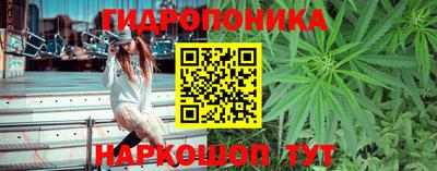 бошки Лесосибирск