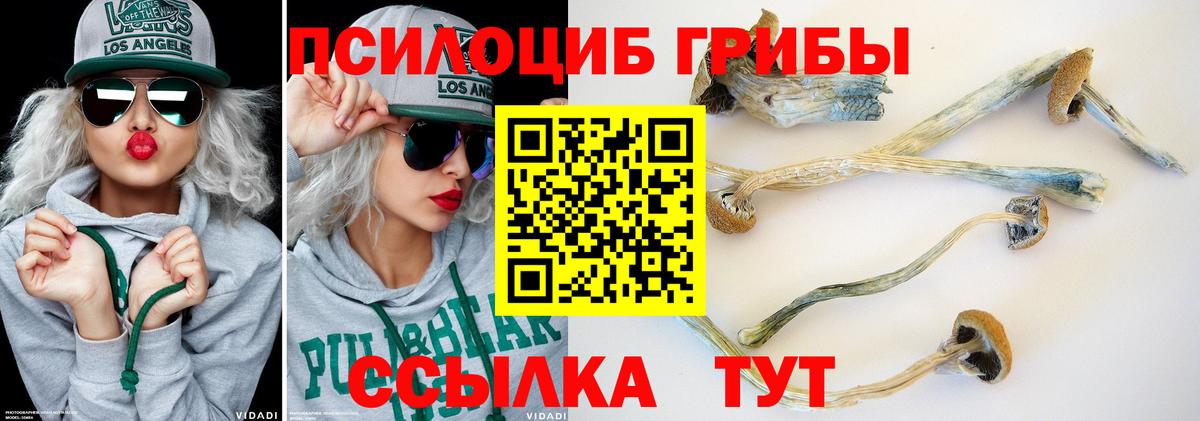 Ивантеевка  Галлюциногенные грибы прущие грибы  Галлюциногенные грибы Cubensis  Вход с VPN 